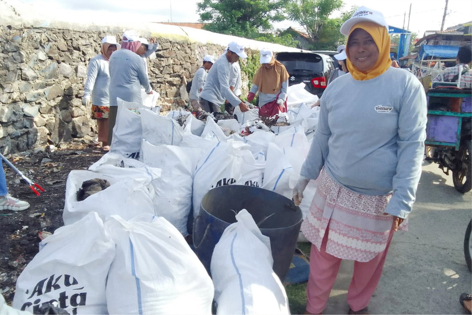 Tanara Clean Up